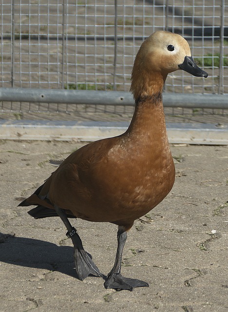 内外部环境